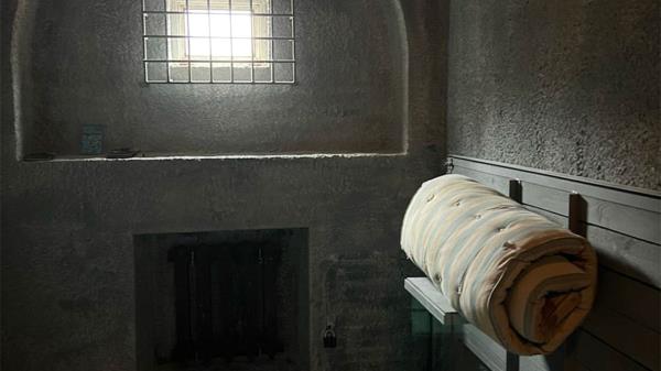阿列克谢·纳瓦尔尼第11次重返单独监禁