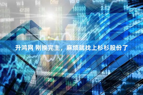 升鸿网 刚换完主，麻烦就找上杉杉股份了